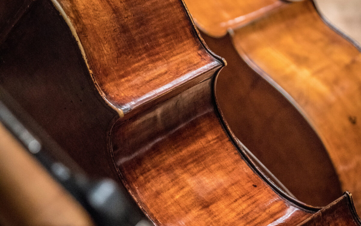 A view of three violins from behind
