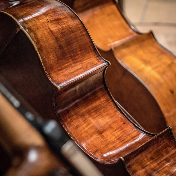 A view of three violins from behind