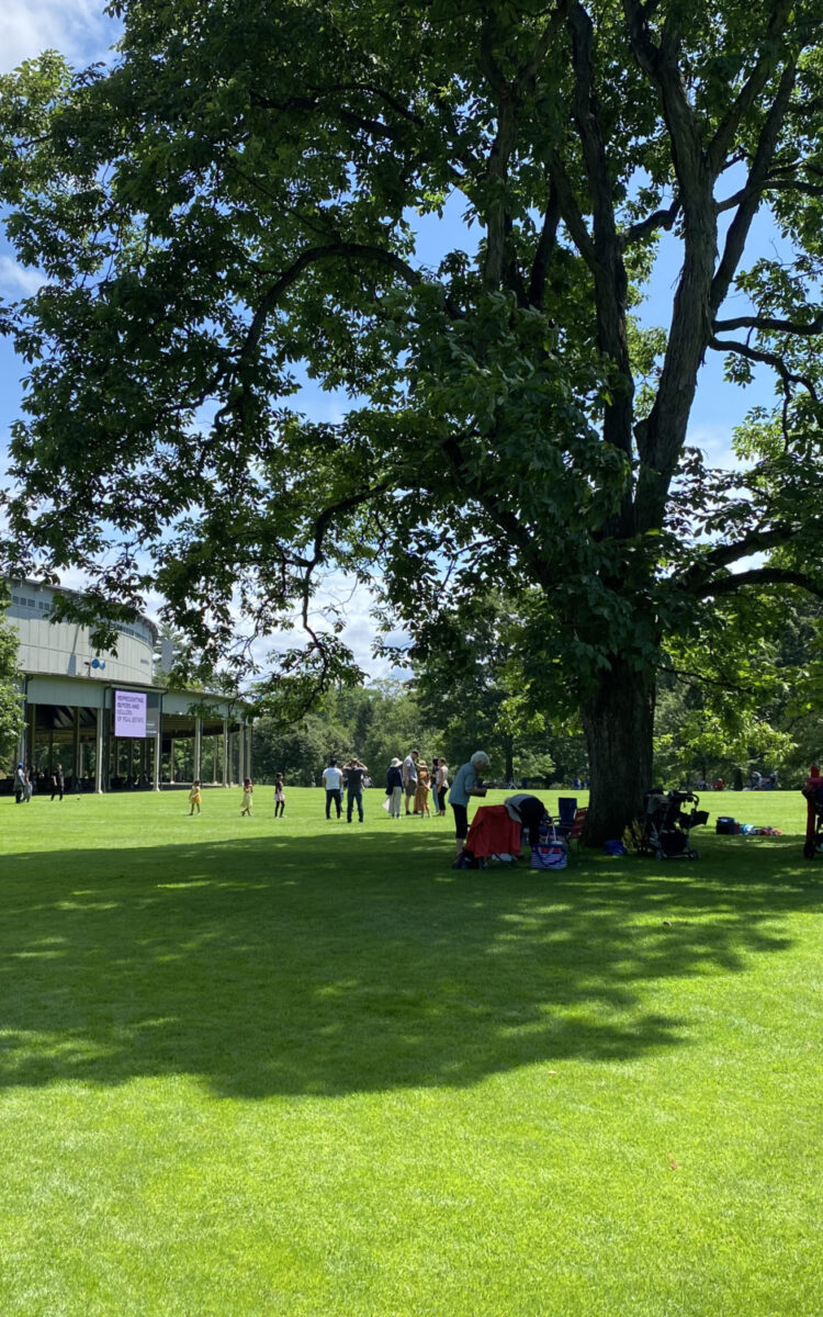 BSO Tanglewood