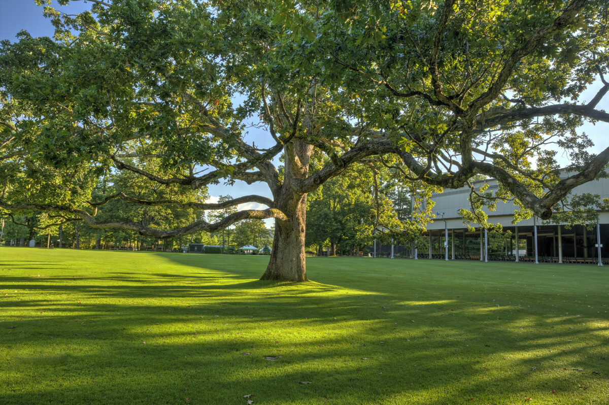 BSO Prelude ConcertAugust 10, 2024 Tanglewood