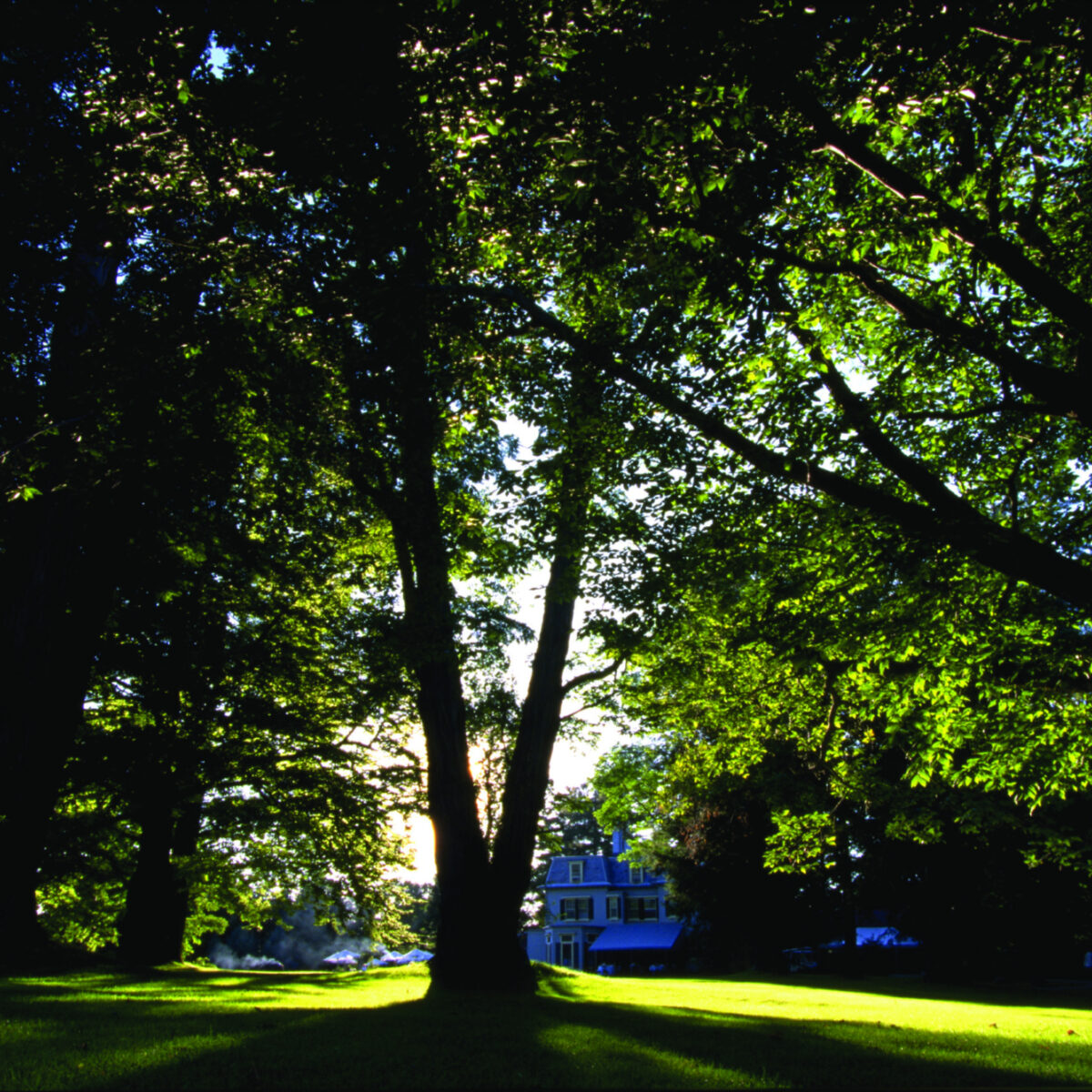 BSO Tanglewood for Families Tanglewood