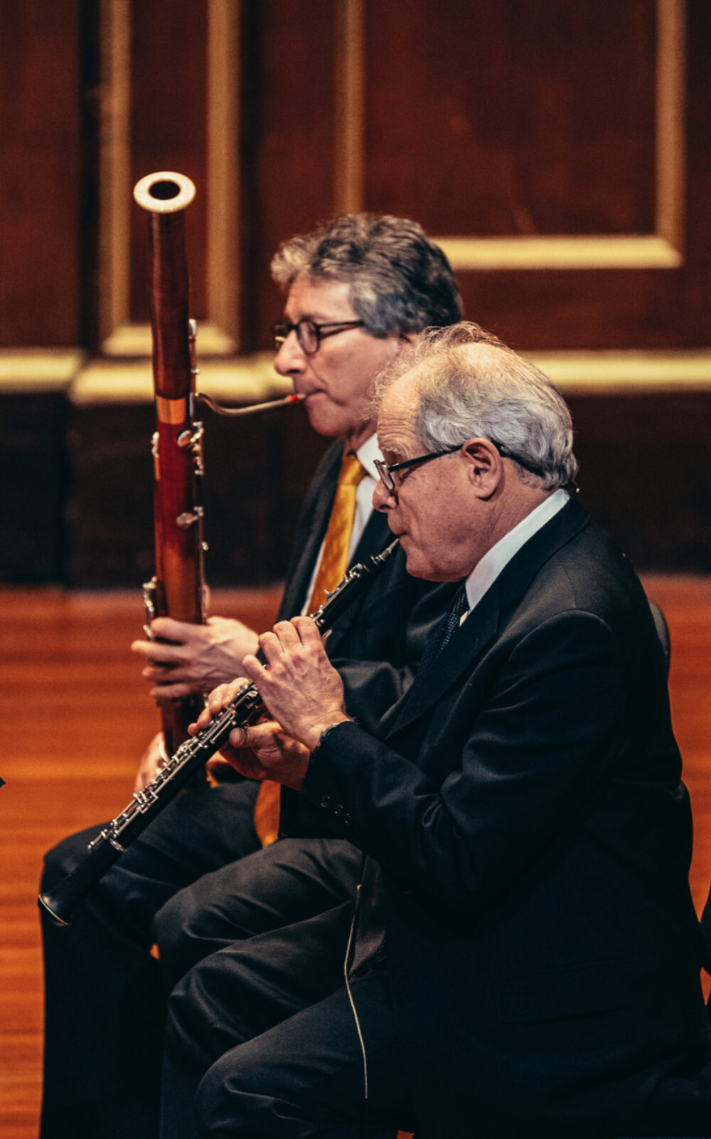 BSO BSO 20242025 Season